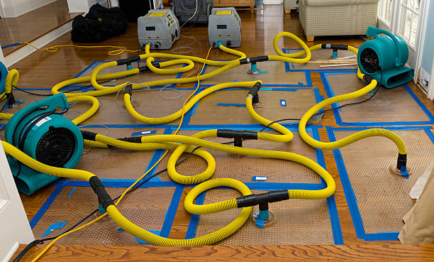 Professional Crawl Space Water Removal technician working in Wheaton, IL